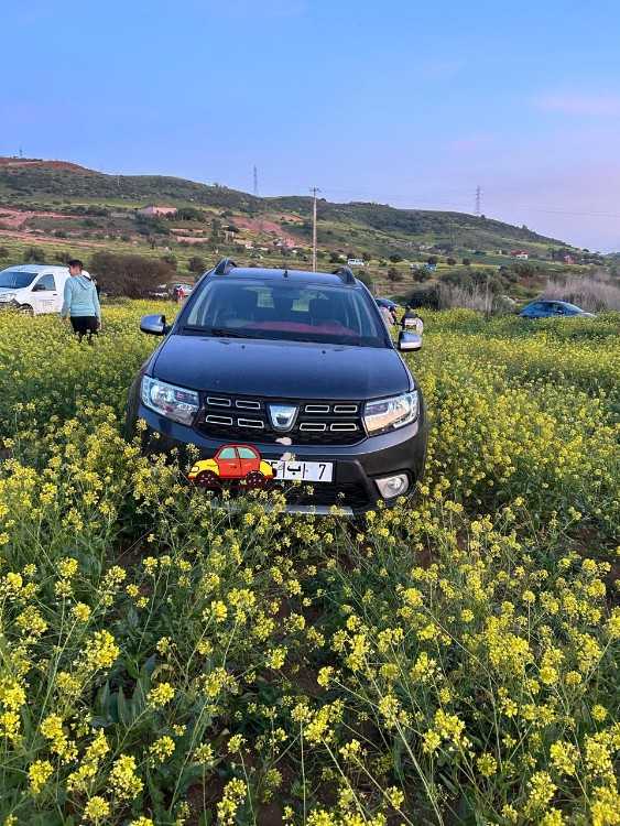 Sandero stepway