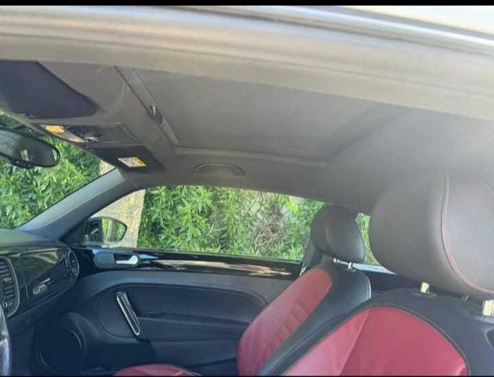 Volkswagen coccinelle 2019