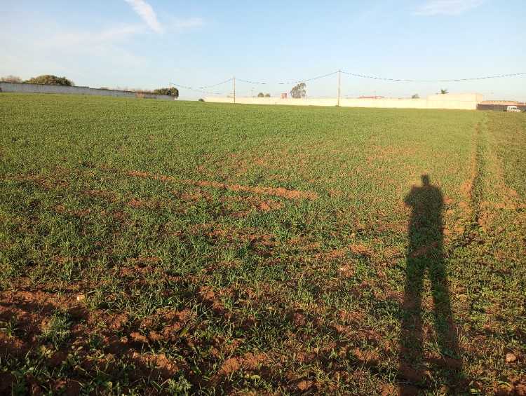 Terrain null de 1/2 hectare titre mère pas foncièr