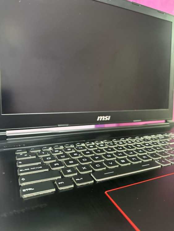 PC Portable Gaming MSI GE73VR 7RF Raider
