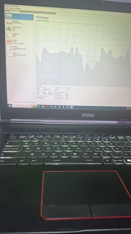 PC Portable Gaming MSI GE73VR 7RF Raider