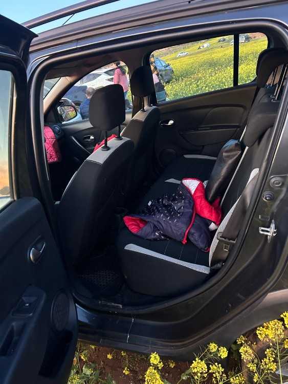 Sandero stepway