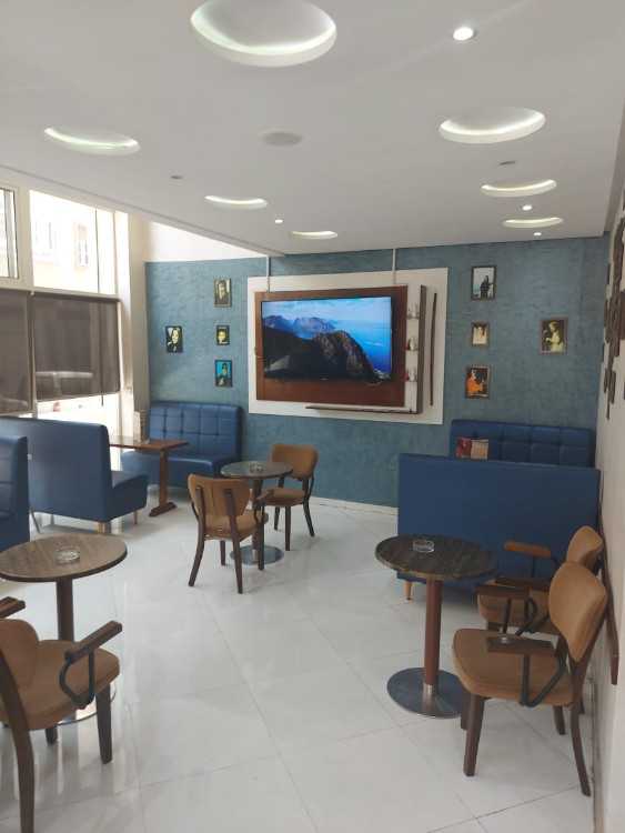 Cafe snake a8