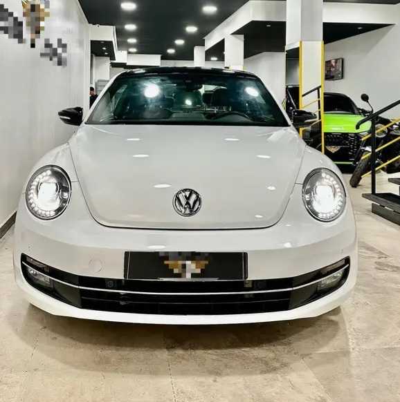 Volkswagen coccinelle 2019