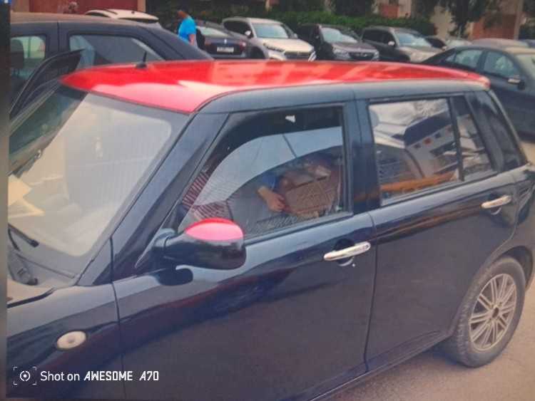 Mini lifan