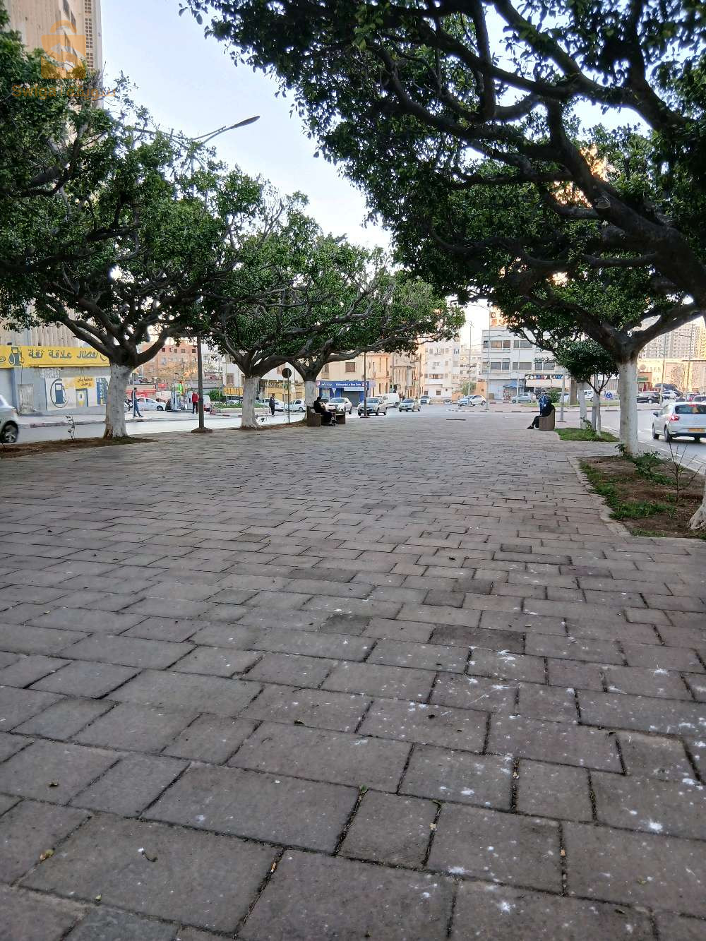 vente f3 4 étage belair rond point de la wilaya d oran 