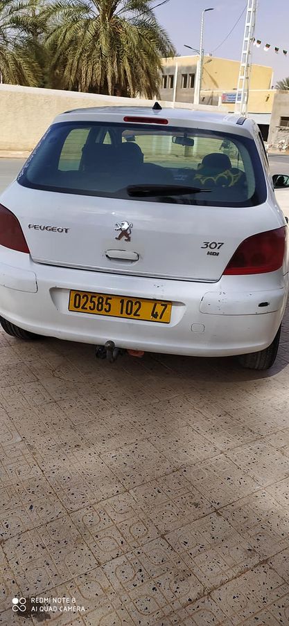 PEUGEOT 307 SW